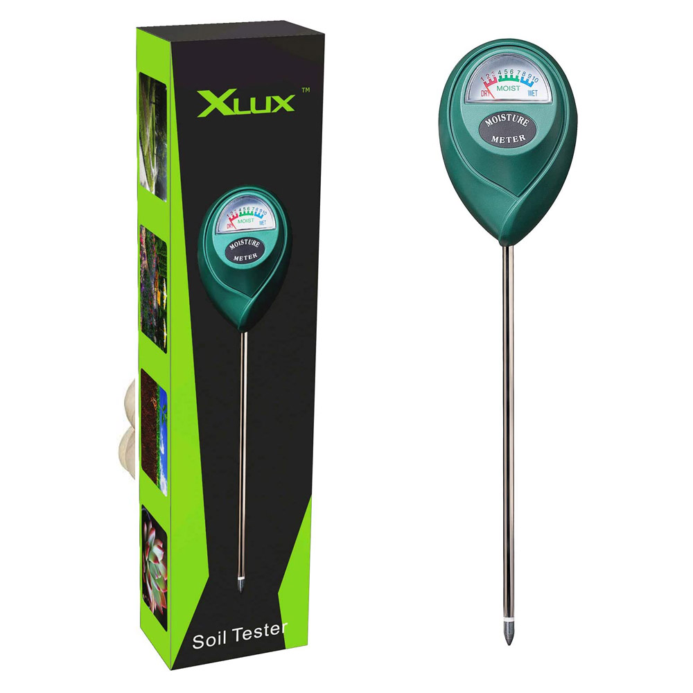 XLUX1